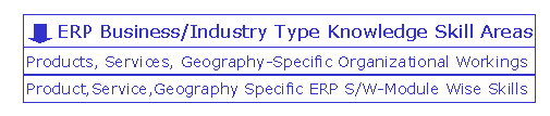 ERP industry specific or business vertical specific skills - Implementation for a specific ERP software or it's modules in an organization with specific products, services or geography. The application domain specialization could either be in terms of vertical industry knowledge, horizontal business function or organizational / business practices specific to a particular geographic location.