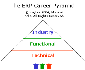 The ERP Career Kaytek Pyramid