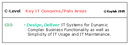 Key IT Concerns of Customer's C-Level Executives - CIO's - Chief Information Officers 