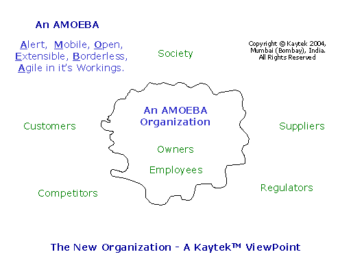 The AMOEBA Organization - A Kaytek Viewpoint