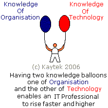 The IT Professionals Twin Ballons of Technology and Organizational Knowledge